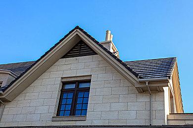 《NIDUS》登陆Steam 奇幻主题肉鸽生存战斗